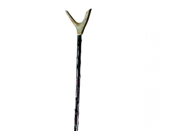 Antler thumbstick on blackthorn shaft in the group Other products / Walking sticks at PAW of Sweden AB (2408)