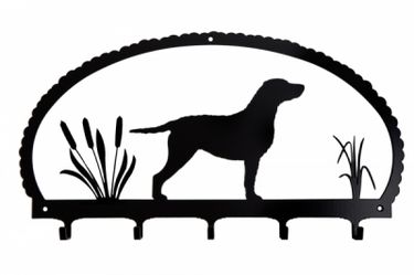 Hanger Curly Coated Retriever