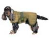 The world's most absorbing dog coats are back in stock!