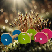 PROMOTION ON DUMBBELLS!