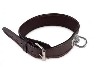 Bloodhound collars