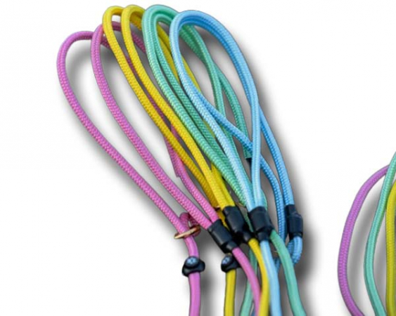 Retriever Slip Lead Trend 2026 160 cm in the group Training / Dog Leads / Retriever Slip Lead at PAW of Sweden AB (2104)