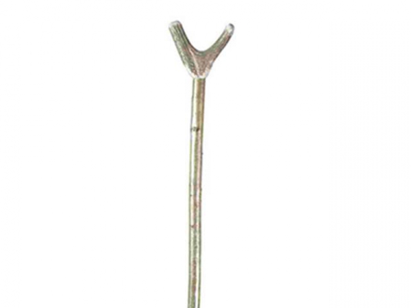 Antler thumbstick on hazel shaft in the group Other products / Walking sticks at PAW of Sweden AB (2403)