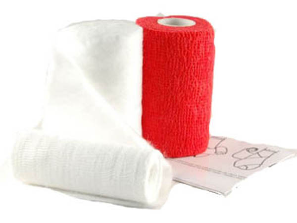 PAW bandage kit in the group The dog / Care / Bandage at PAW of Sweden AB (297)