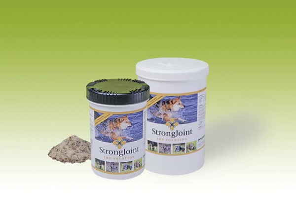 StrongJoint 1000g in the group  at PAW of Sweden AB (3014)
