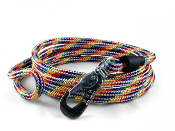 Lead with carabiner Pride Limited Edition in the group Training / Leads / Leads with carabiner at PAW of Sweden AB (303)