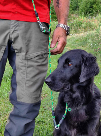 Hunter lead/Complete lead Original  in the group Training / Leads / Other leads and more at PAW of Sweden AB (310)