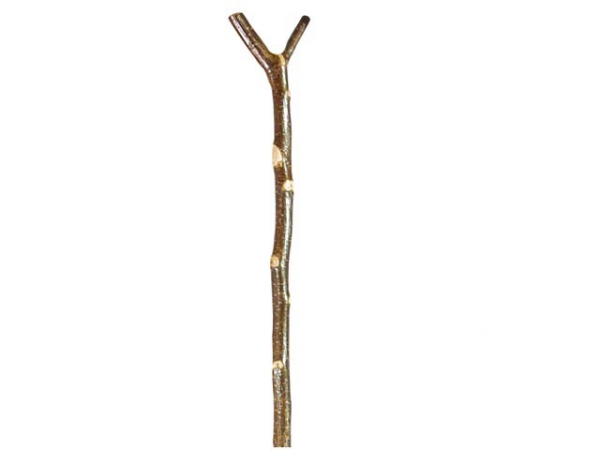 Hazel short thumbstick in the group Other products / Walking sticks at PAW of Sweden AB (3545)