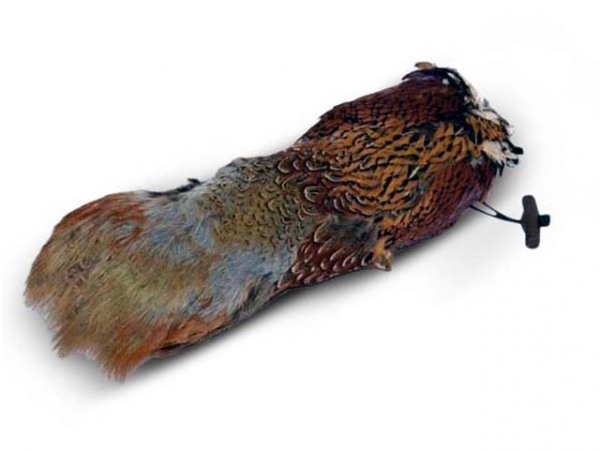 Dummy Pheasant 500g in the group Training / Dummies / Bird/Rabbit/Fox / Birds at PAW of Sweden AB (51112)