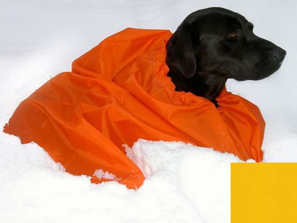 Warming/rest bag yellow in the group Hunting / Coats/Vests/Protection / Dog coats/Resting bags at PAW of Sweden AB (707Y)
