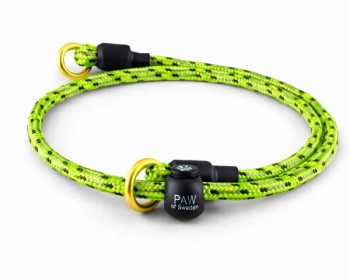 Training collar Reflective Costumized