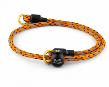 Training collar Reflective