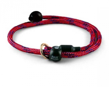 Training Retriever Slip Lead Rescue Trial