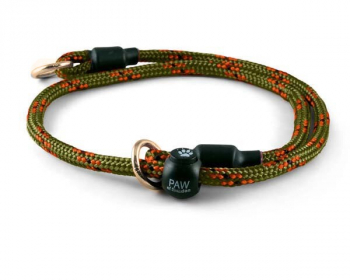 Training collar Hunter Olive Customized
