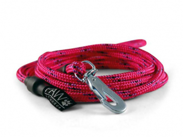 Lead with carabiner Trial - Nosework