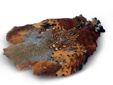 Pheasant skin