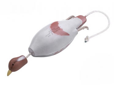 Dokken´s Hungarian Partridge