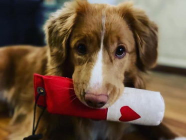 Heart print - Dummy is not included