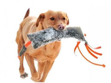 Dummy Pheasant Wild 1000g