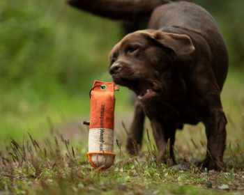 Line Up holder for dummy/pcs