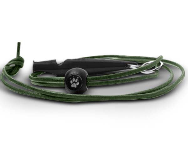 Leather lanyard for whistle green