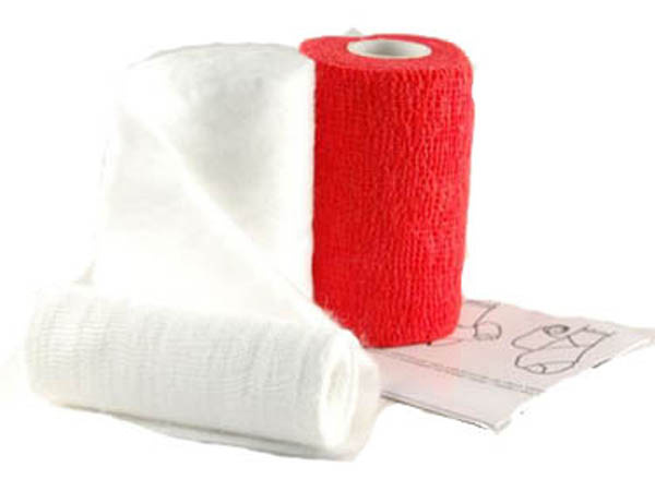 PAW bandage kit