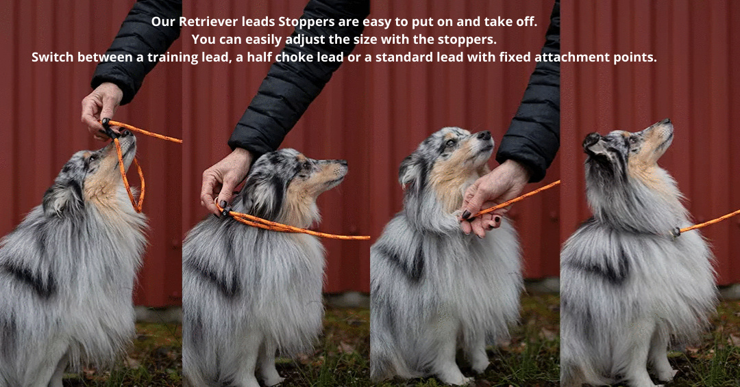 Show lead Limited Edition Stoppers 110 cm