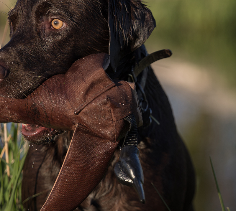 RRT Dummy for launcher Duck- brown