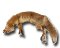 Fox dummy - 2,5 kg
