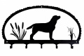 Hanger Labrador Retriever Hanger Labrador Retriever