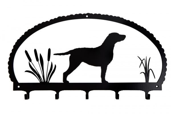 Hanger Curly Coated Retriever