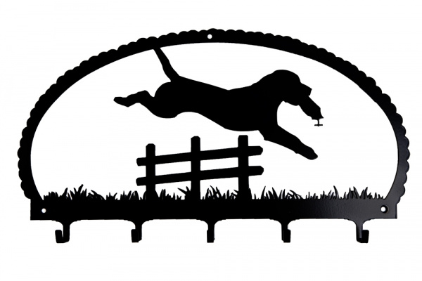Hanger Labrador Retriever jumping
