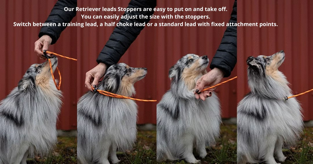 Retriever Slip Lead Stoppers Mosaic 160 cm