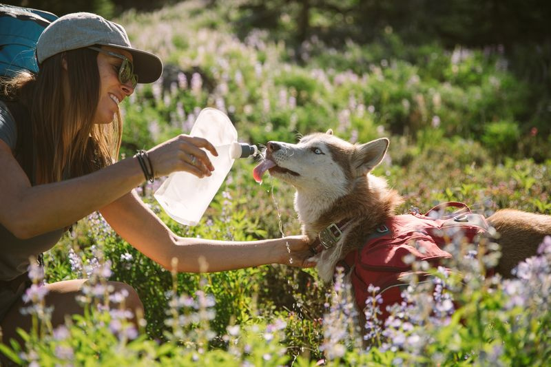 1L COLLAPSIBLE WATER BLADDER