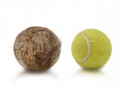 Rabbit Tennis ball